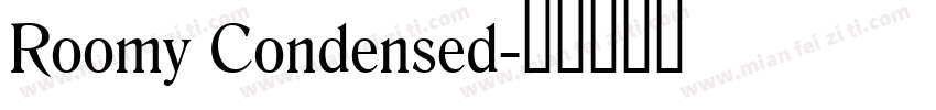 Roomy Condensed字体转换